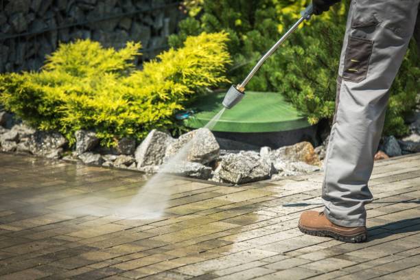 Best Pre-Holiday Cleaning  in Big Pine, CA